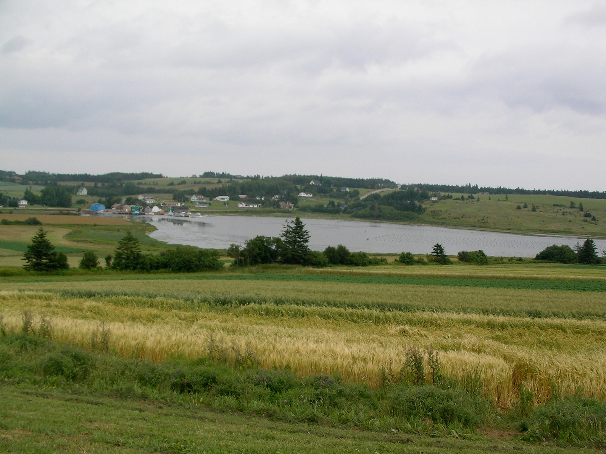 SANYO C4 sample photo. Pei photography
