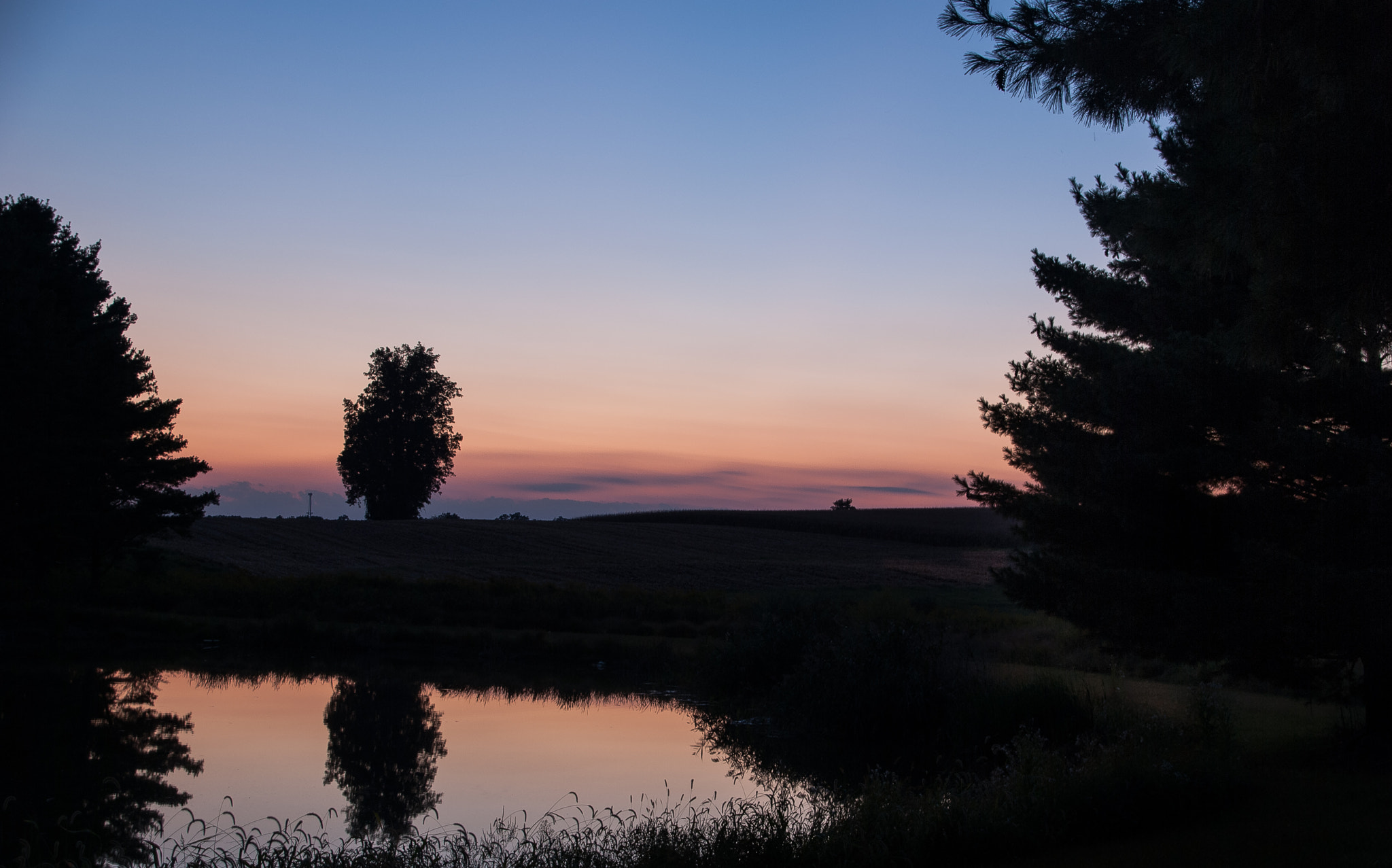 Nikon D60 sample photo. Evening at the pond photography