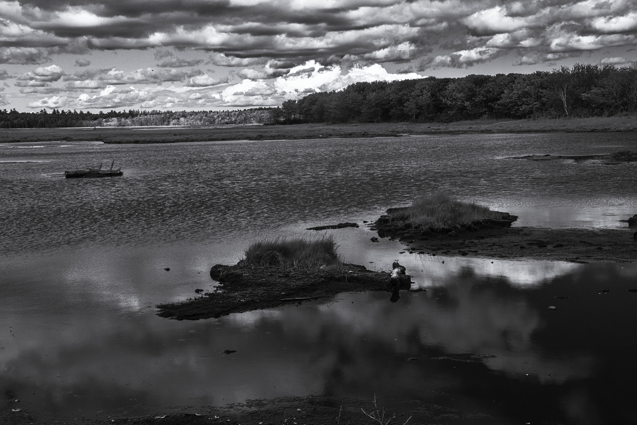Canon EF-S 18-200mm F3.5-5.6 IS sample photo. Saltl marsh wells reserve at laudholm wells me photography