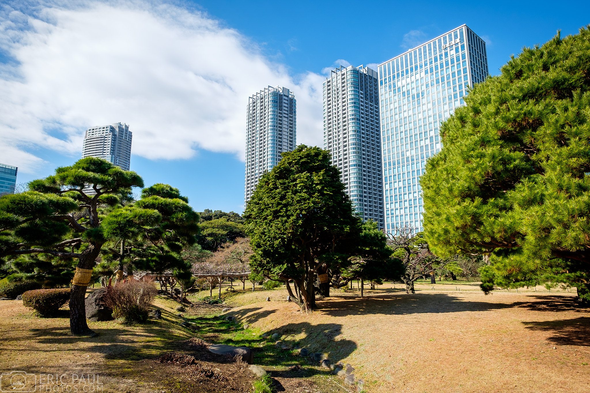 Fujifilm X-E2 + Fujifilm XF 14mm F2.8 R sample photo. Gardens meet city photography