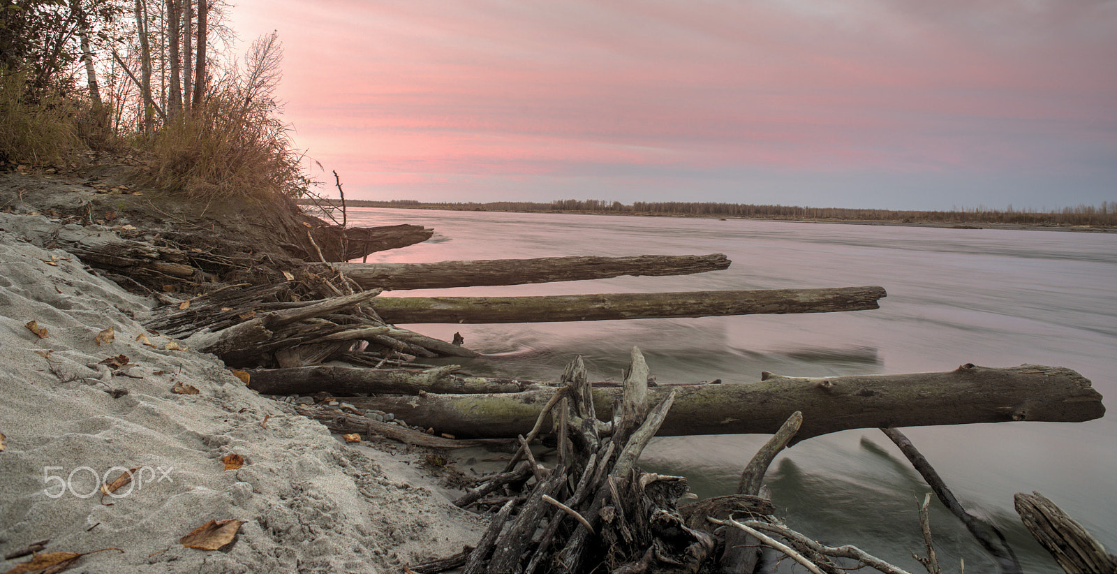 Nikon D800 sample photo. Driftwood photography