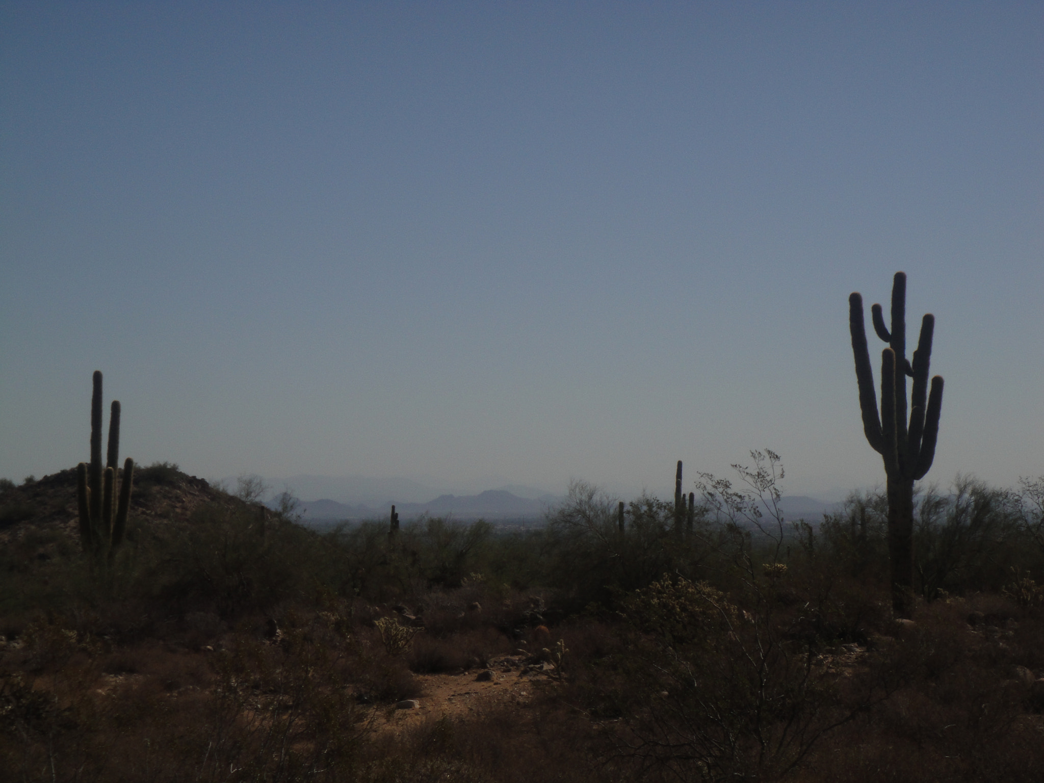 Sony DSC-T90 sample photo. A lonely day in arizona photography