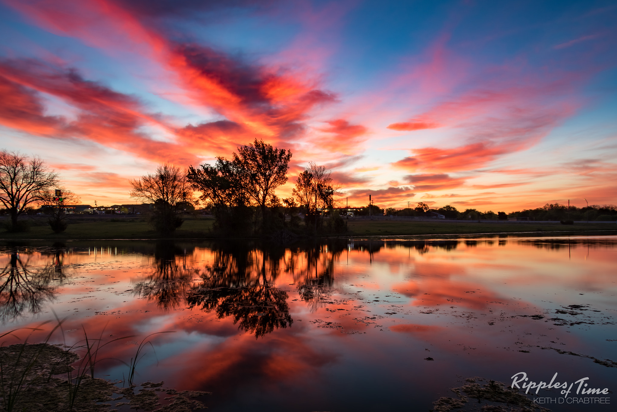 Canon EF-S 17-85mm F4-5.6 IS USM sample photo. Red oak pearson park at sunrise photography