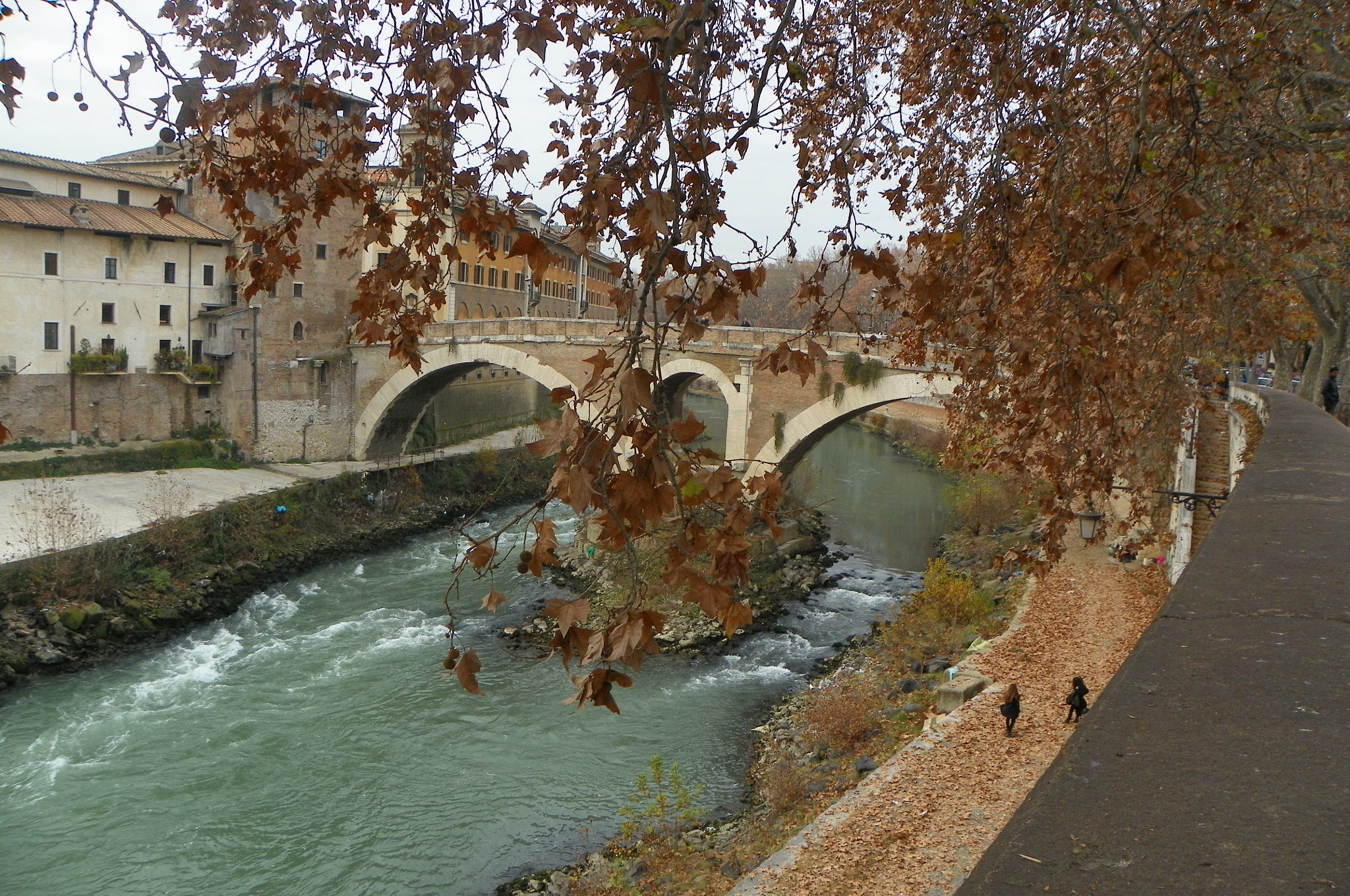 Kodak EasyShare Z981 sample photo. December in rome.jpg photography