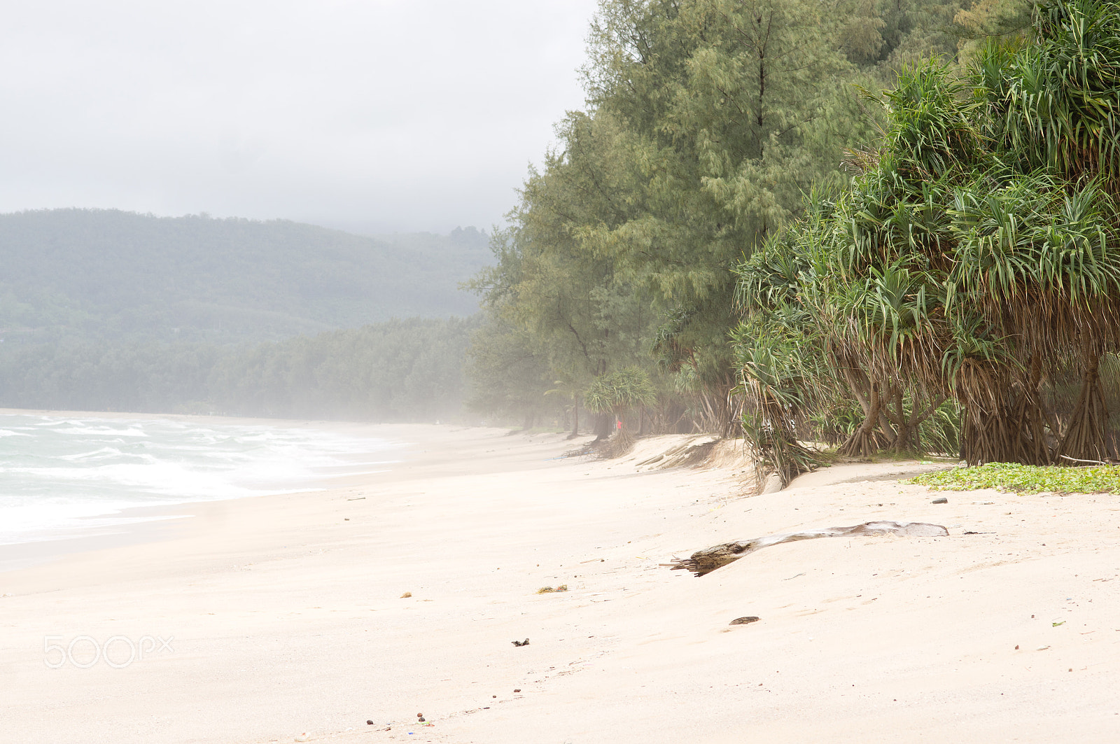 Sigma 30mm F1.4 EX DC HSM sample photo. Tropical beach photography