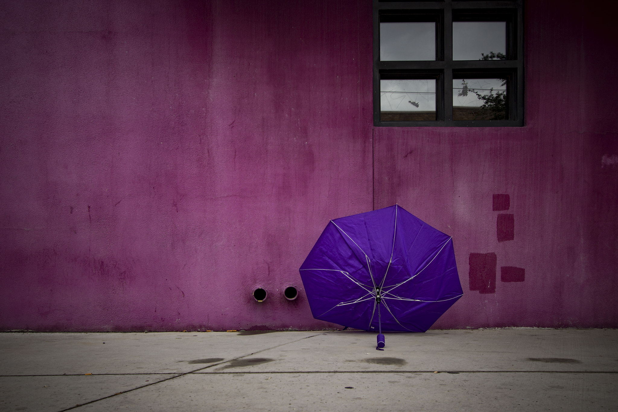 Canon EOS 600D (Rebel EOS T3i / EOS Kiss X5) sample photo. Purple umbrella 6 photography