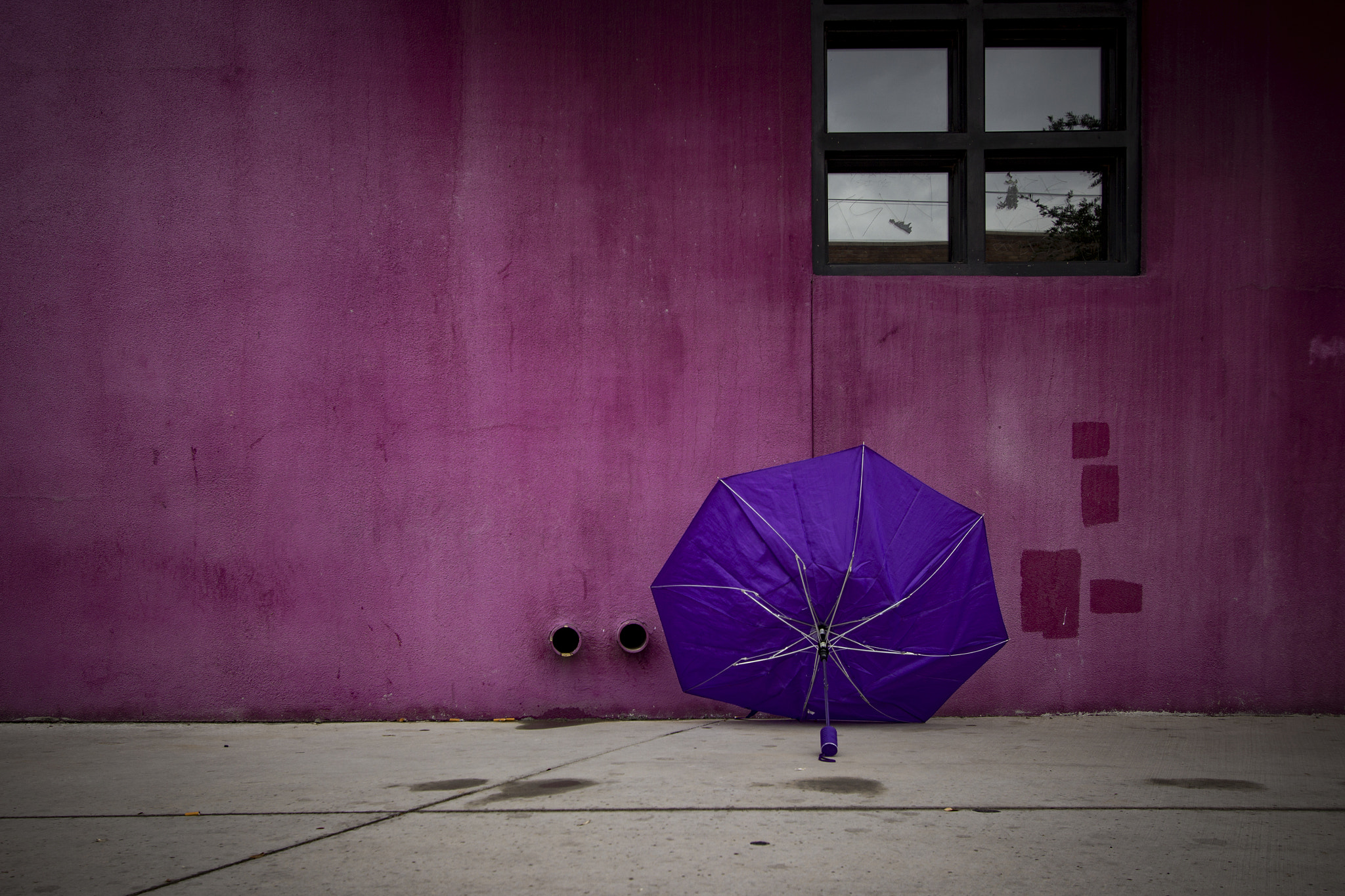 Canon EF-S 10-22mm F3.5-4.5 USM sample photo. Purple umbrella 6 photography