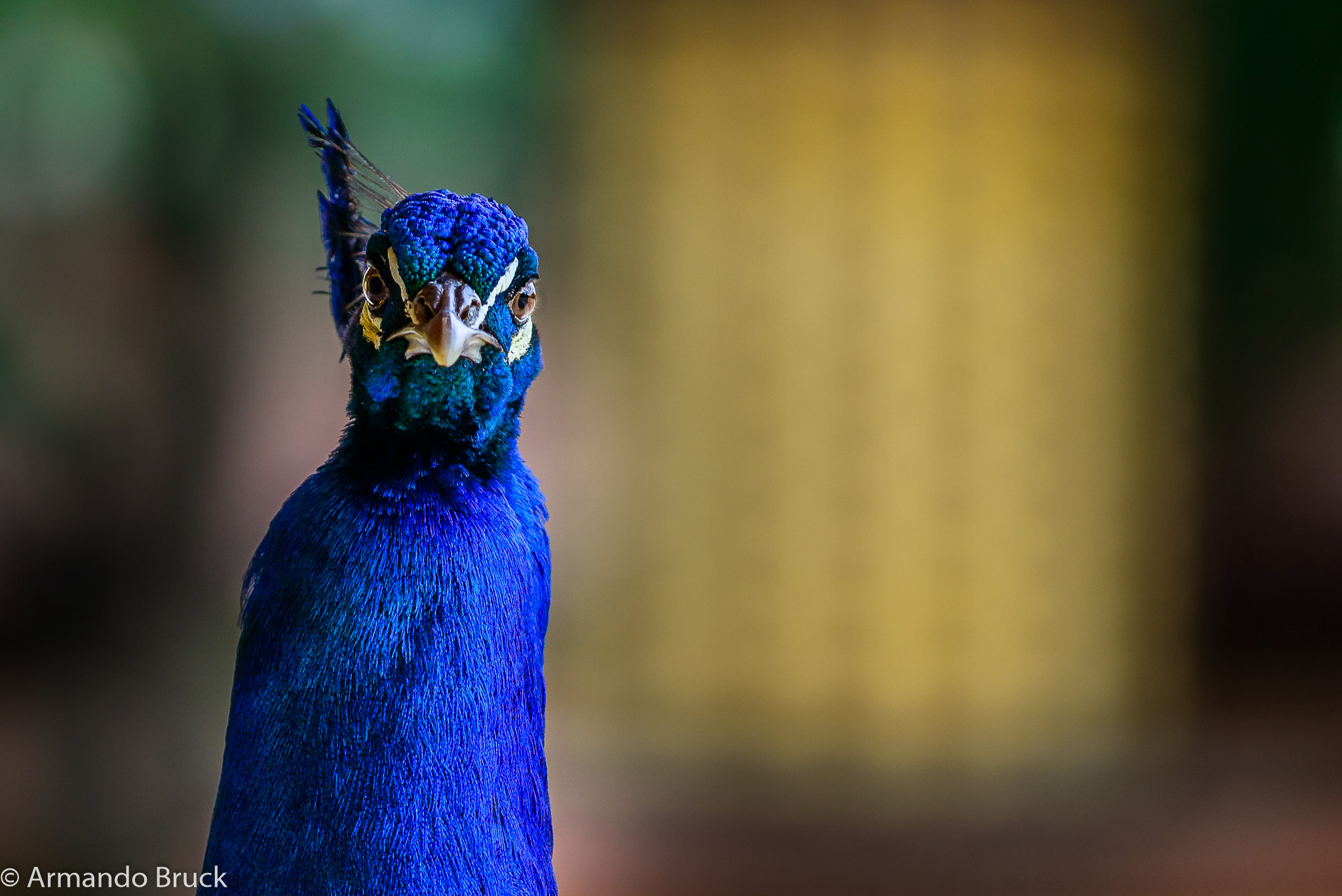 Nikon AF-S Nikkor 70-200mm F4G ED VR sample photo