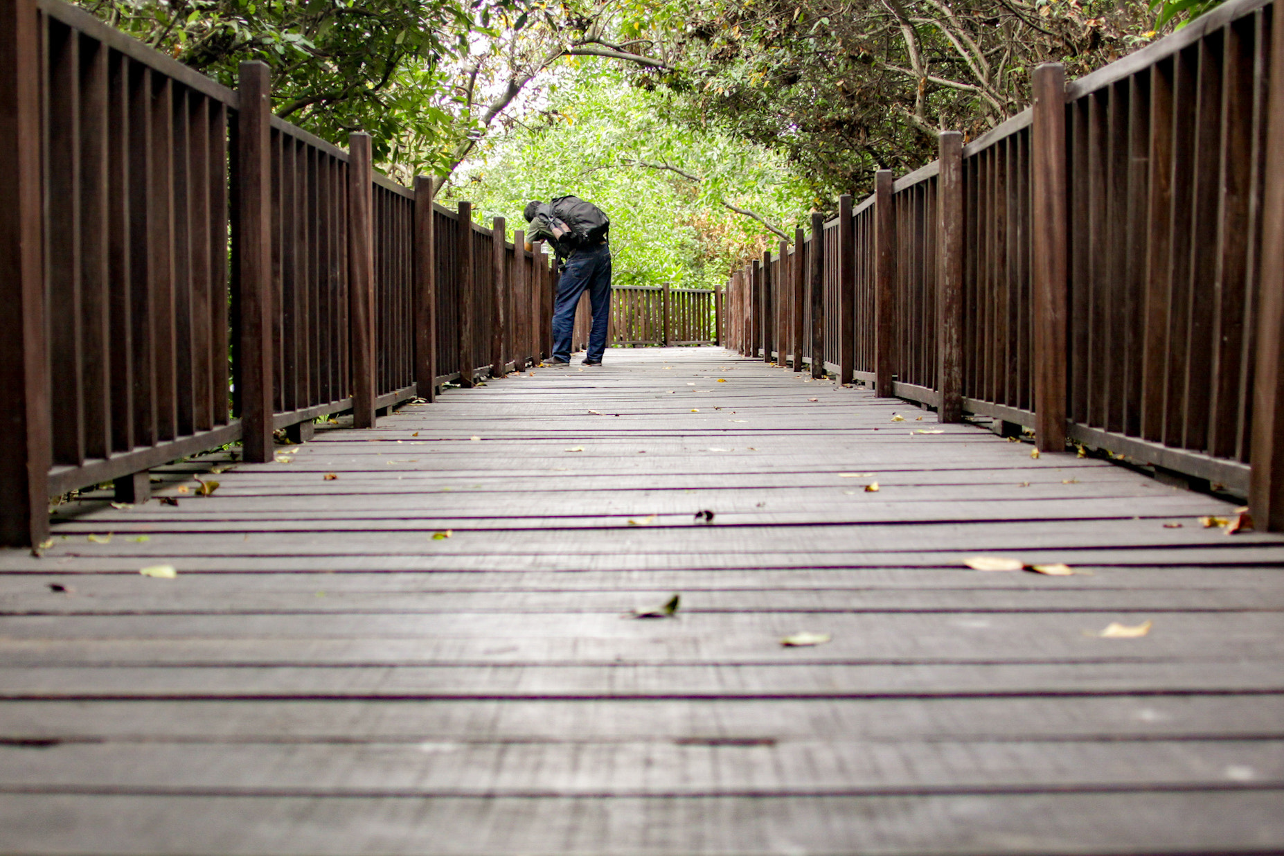 Canon EOS 50D + Canon EF 35-350mm F3.5-5.6L USM sample photo. Joko photography