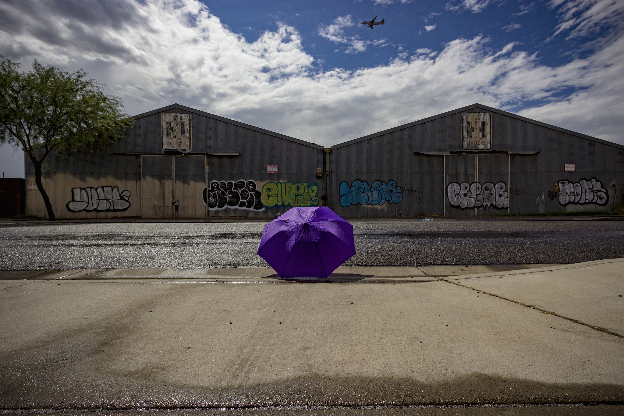 Canon EOS 600D (Rebel EOS T3i / EOS Kiss X5) sample photo. Purple umbrella 7 photography