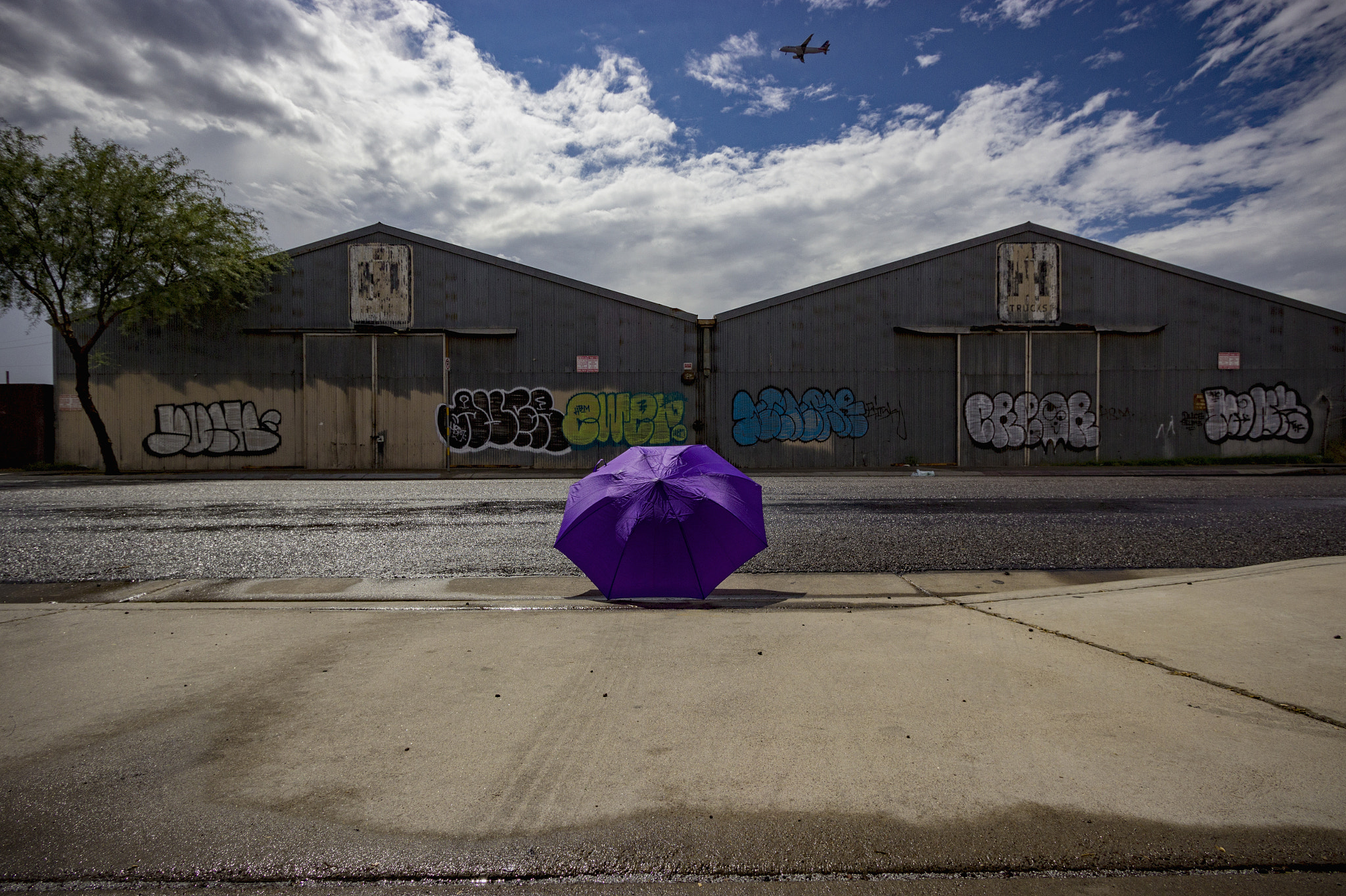 Canon EF-S 10-22mm F3.5-4.5 USM sample photo. Purple umbrella 7 photography