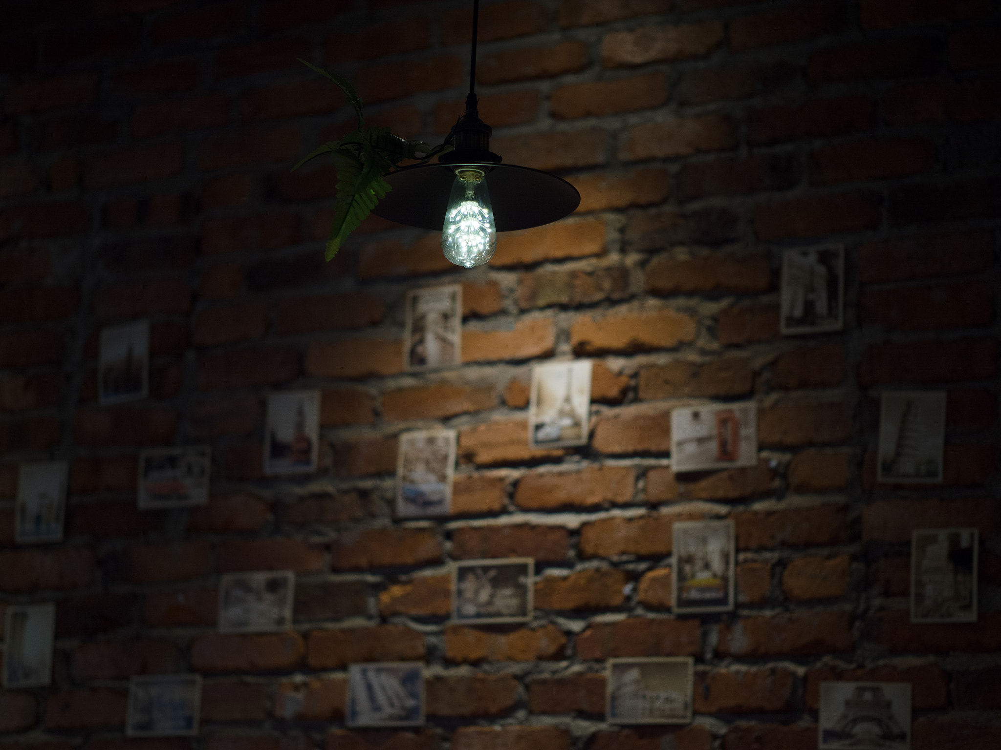 Panasonic Leica DG Nocticron 42.5mm F1.2 ASPH OIS sample photo