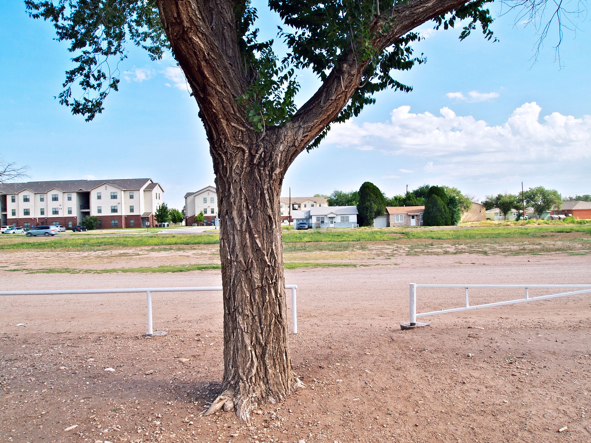 Olympus M.Zuiko Digital ED 14-42mm F3.5-5.6 sample photo. Portales new mexico landscape photography