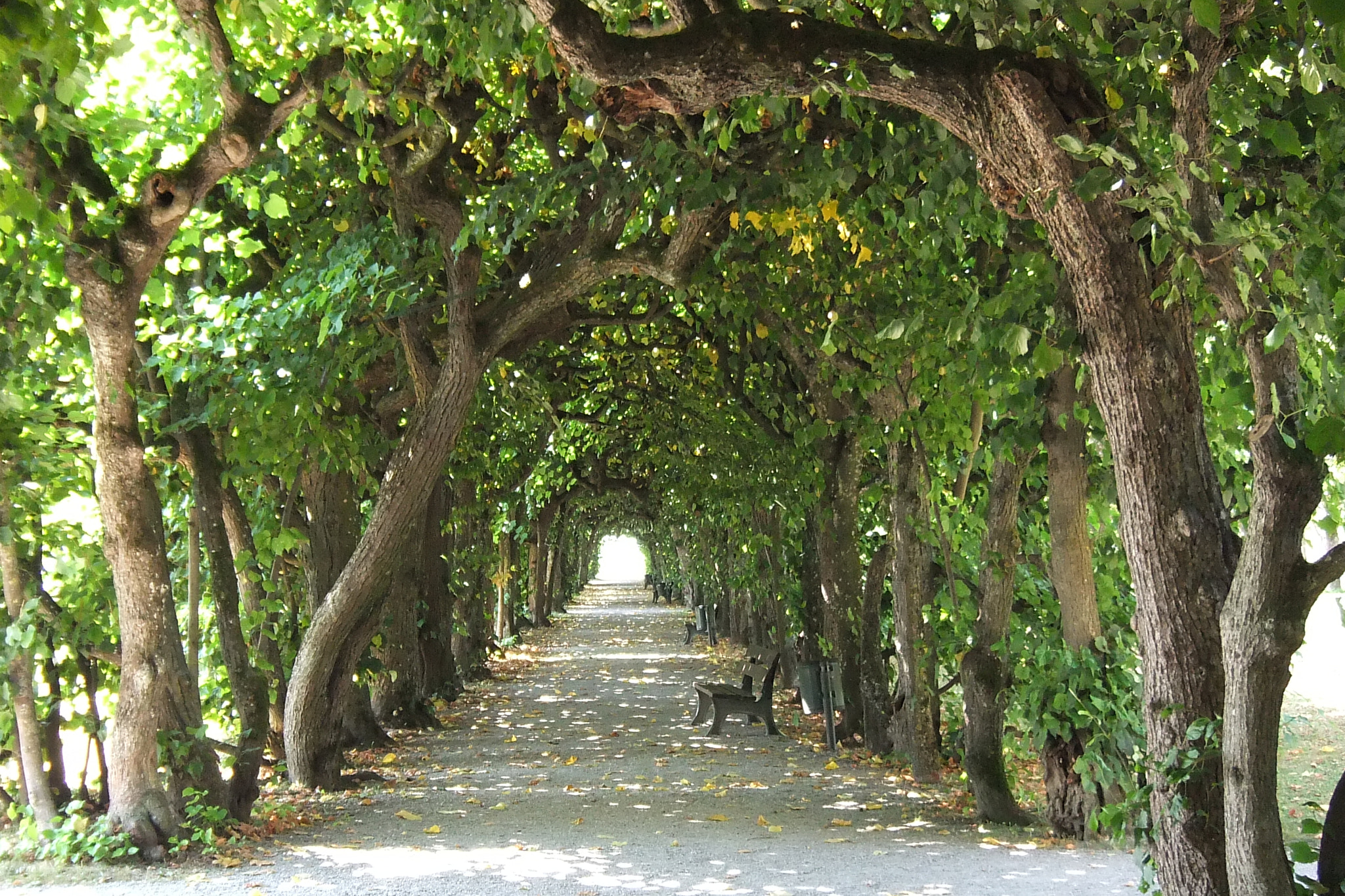 Fujifilm FinePix Real 3D W3 sample photo. Castle garden dachau photography