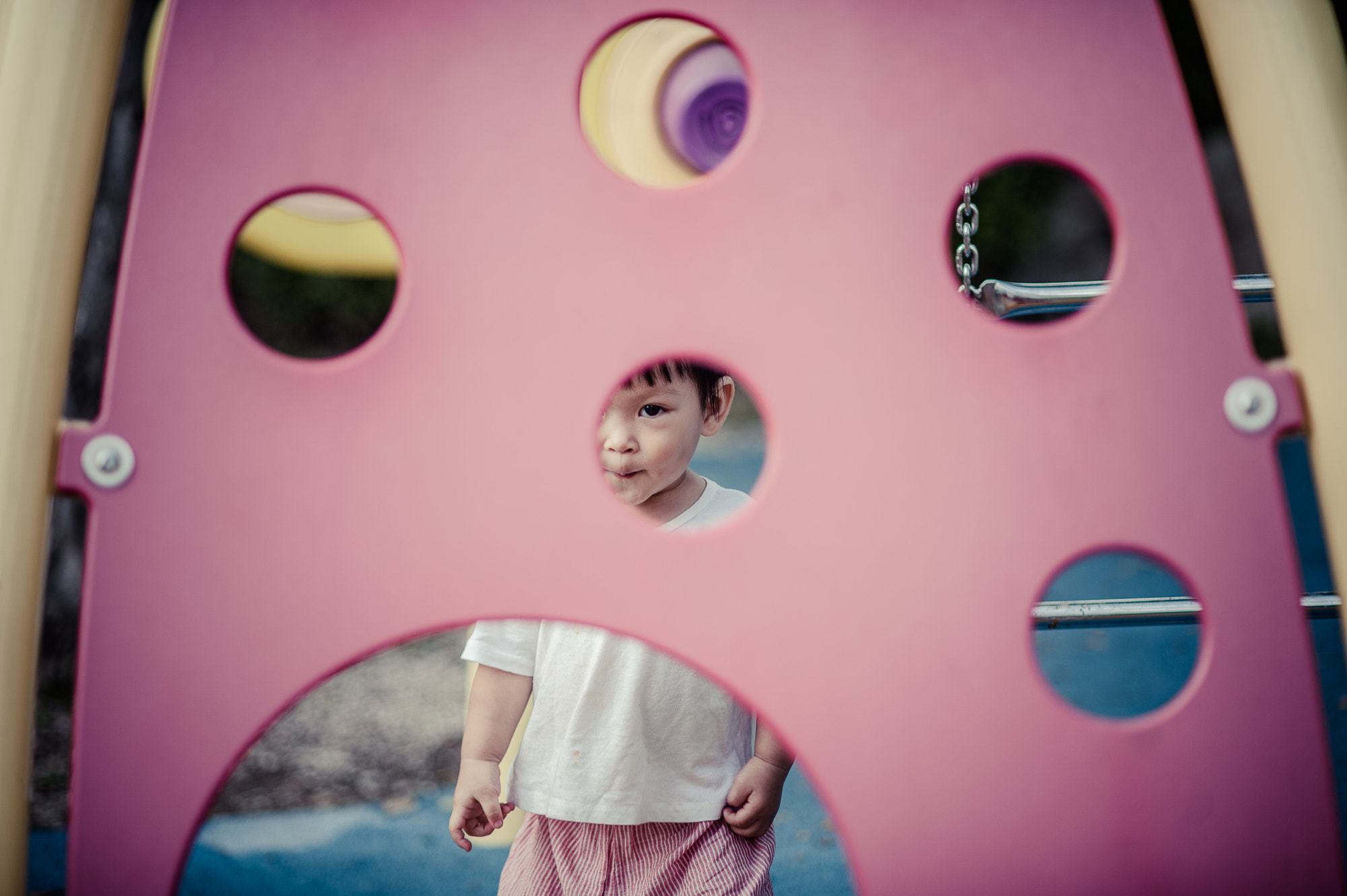 Nikon AF Nikkor 105mm F2D DC sample photo. 2016.10.6-1.jpg photography