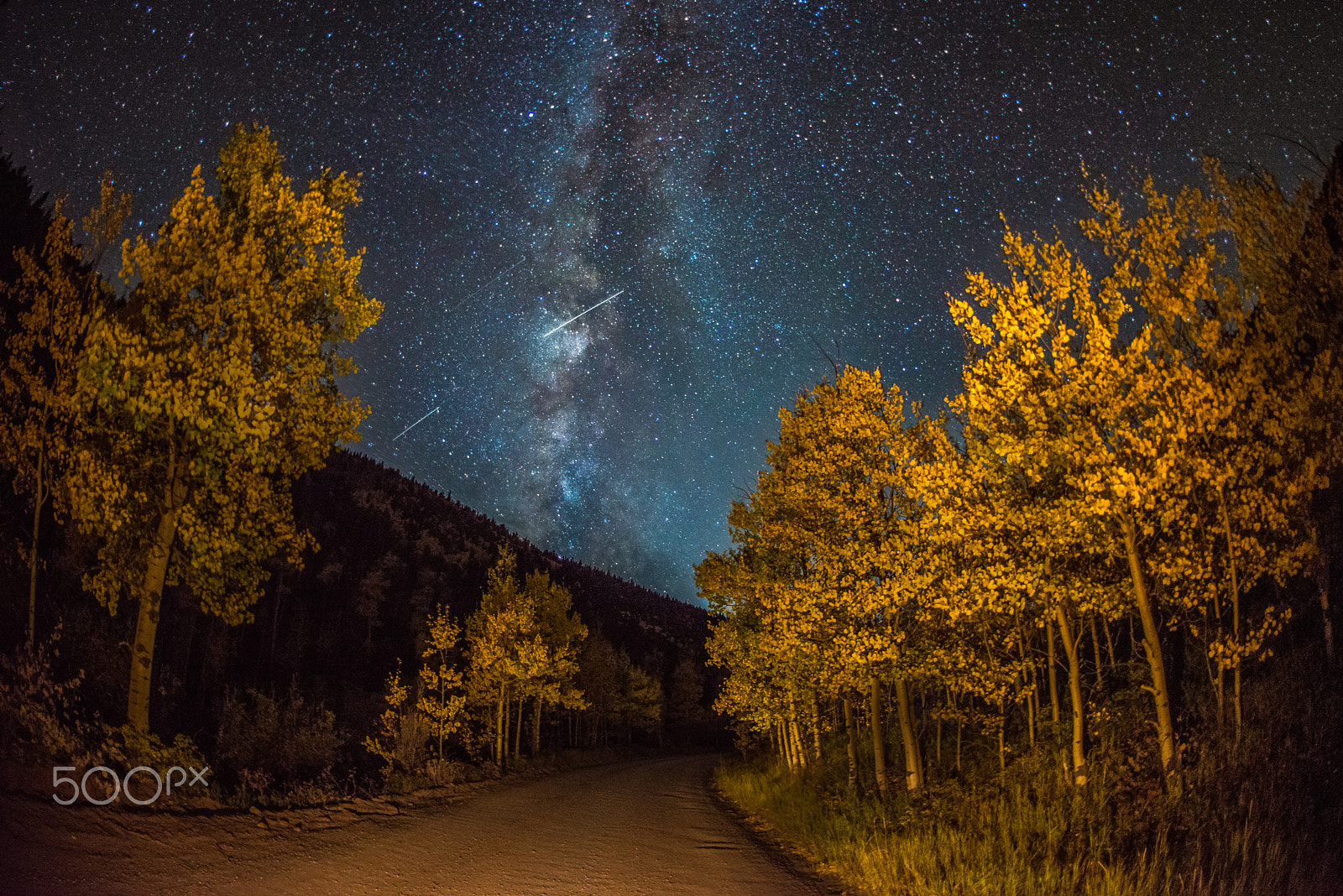 Nikon D800 + Nikon AF Fisheye-Nikkor 16mm F2.8D sample photo. Autumn's edge in the milky way photography