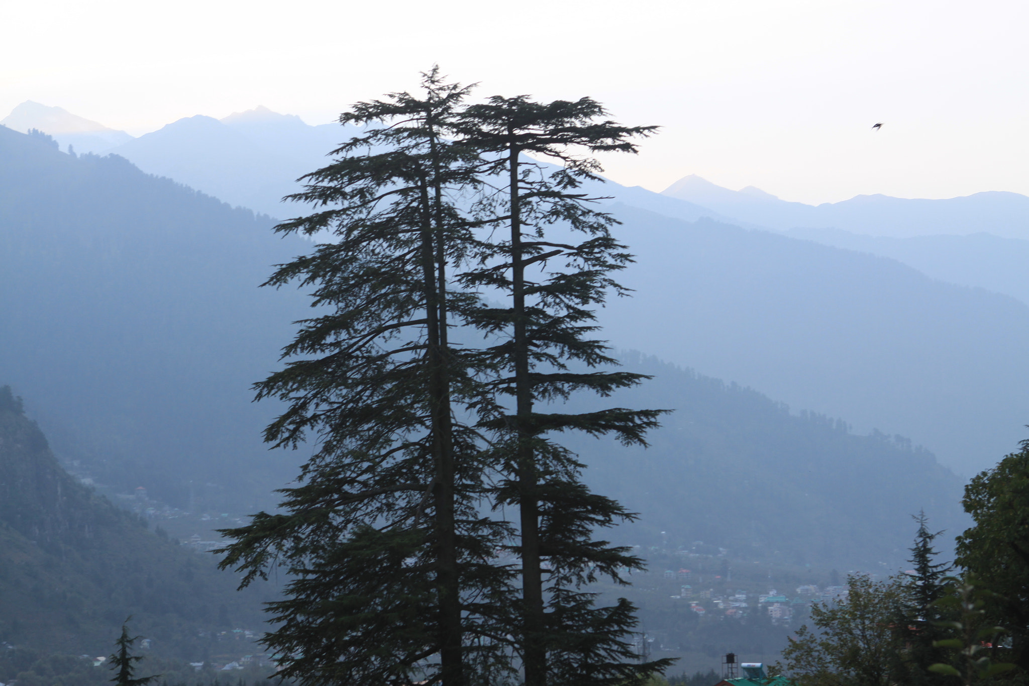 Canon EOS 50D + Canon EF 24-70mm F2.8L USM sample photo. View of manali from the road to hadimba temple photography