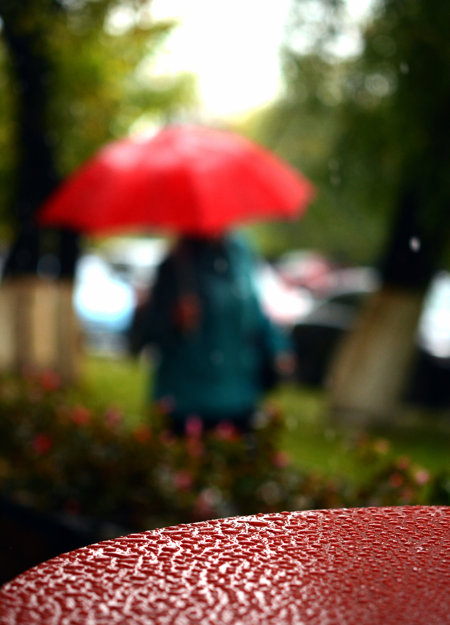 Nikon AF-S Micro-Nikkor 60mm F2.8G ED sample photo. Red umbrella & red rain.  photography