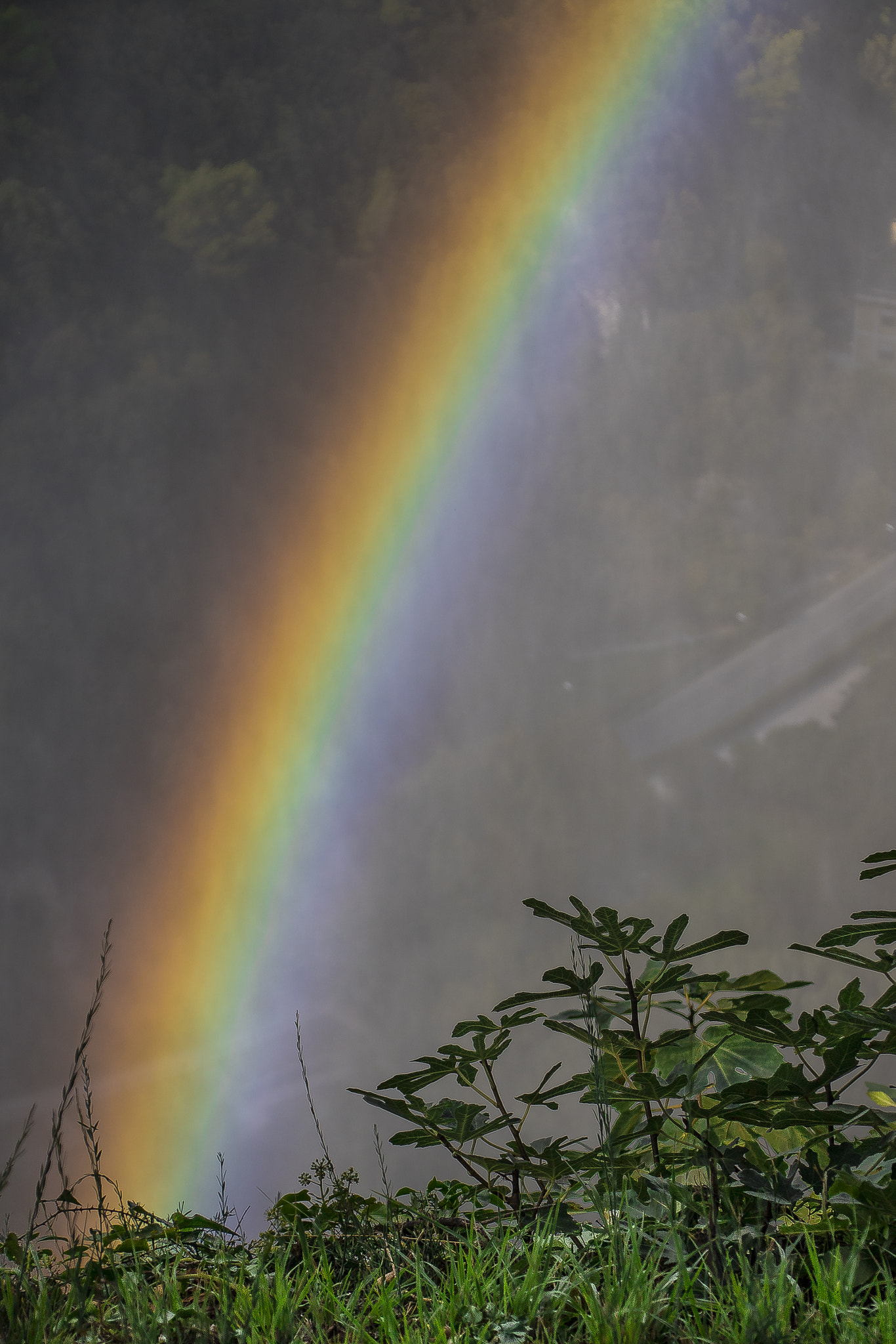 Canon EOS 760D (EOS Rebel T6s / EOS 8000D) + Canon TS-E 90mm F2.8 Tilt-Shift sample photo. Where does the rainbow photography