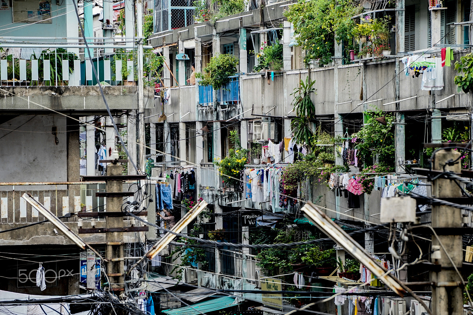 Sony a7 II sample photo. Vietnam net photography