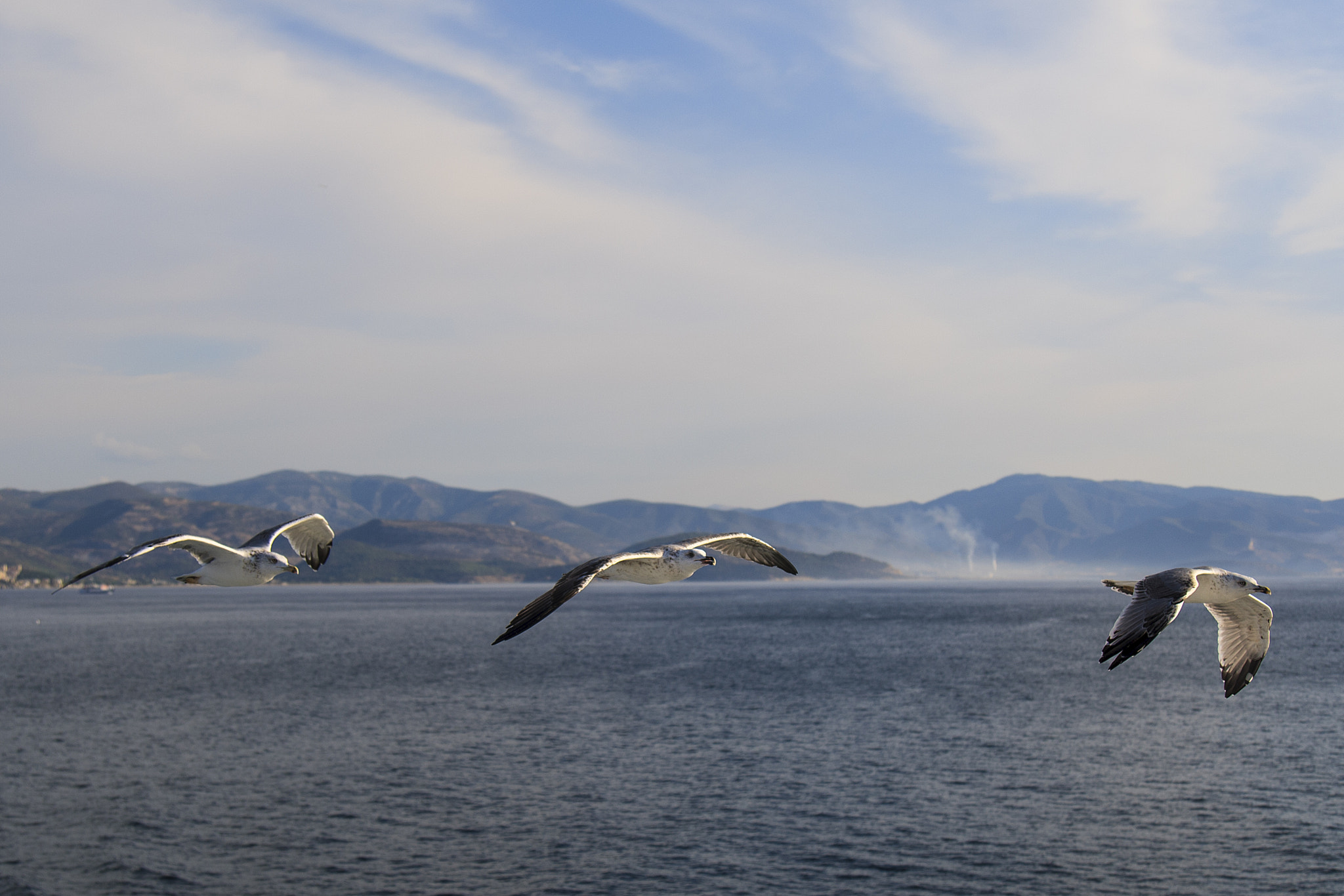 Canon EOS-1D Mark III sample photo. Three photography