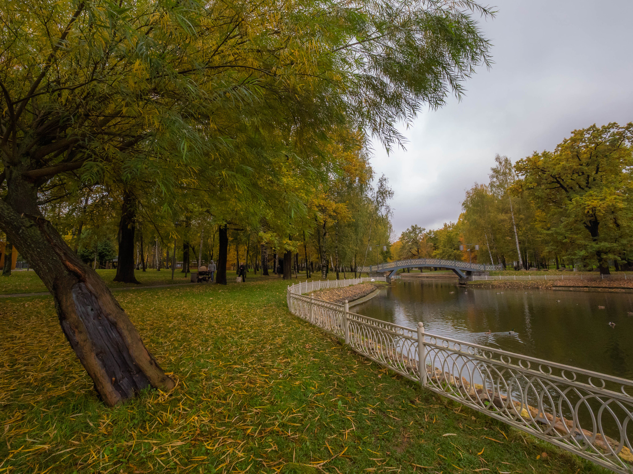 Panasonic Lumix DMC-GH4 + Olympus M.Zuiko Digital ED 7-14mm F2.8 PRO sample photo. Autumn photography