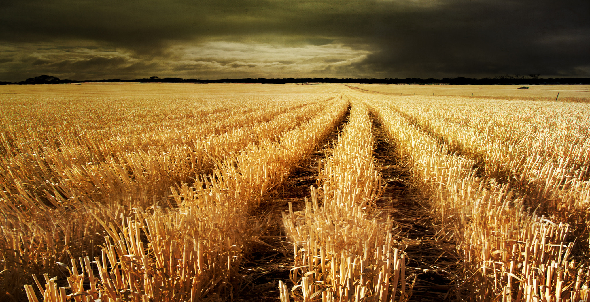 Sigma 18-200mm F3.5-6.3 II DC OS HSM sample photo. Wheat stubble: lake dumbleyung, western australia photography