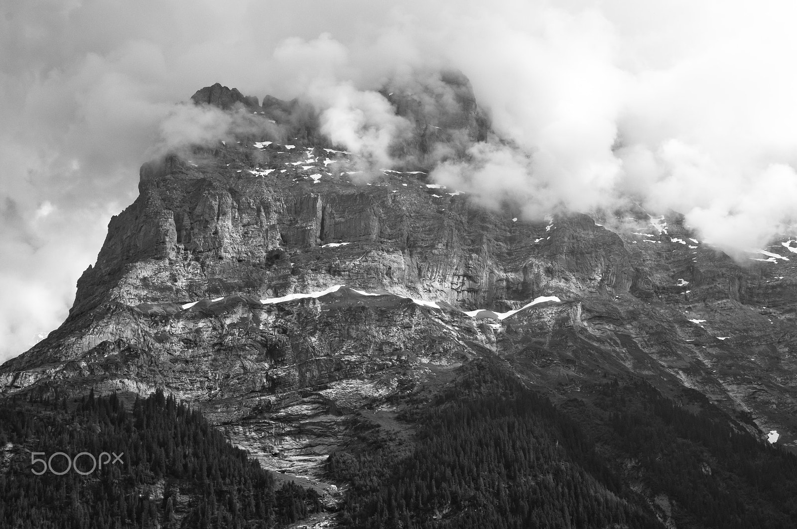 Nikon D2X sample photo. Summer in the swiss mountains - bernese alps photography