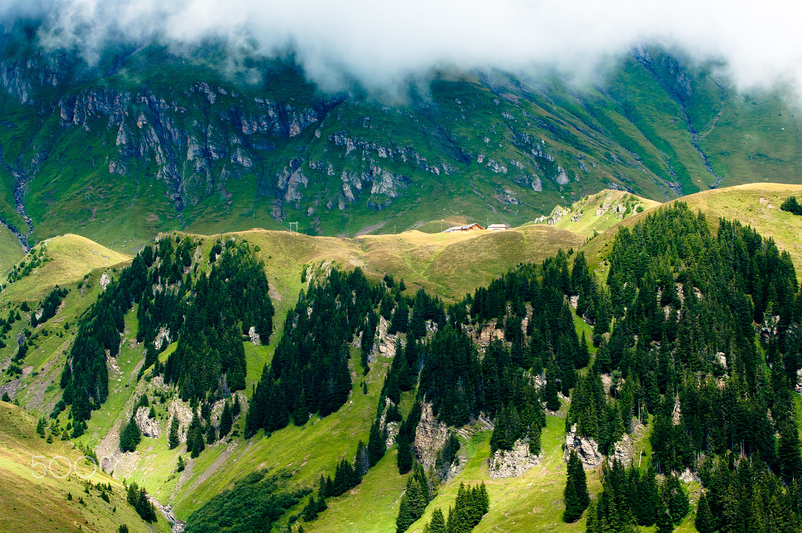 Nikon D2X sample photo. Summer in the swiss mountains - bernese alps photography