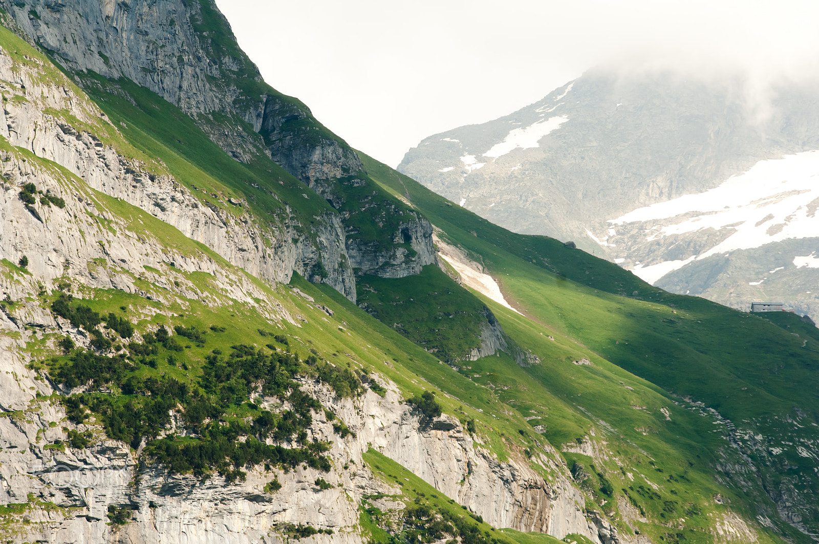 Nikon D2X sample photo. Summer in the swiss mountains - bernese alps photography