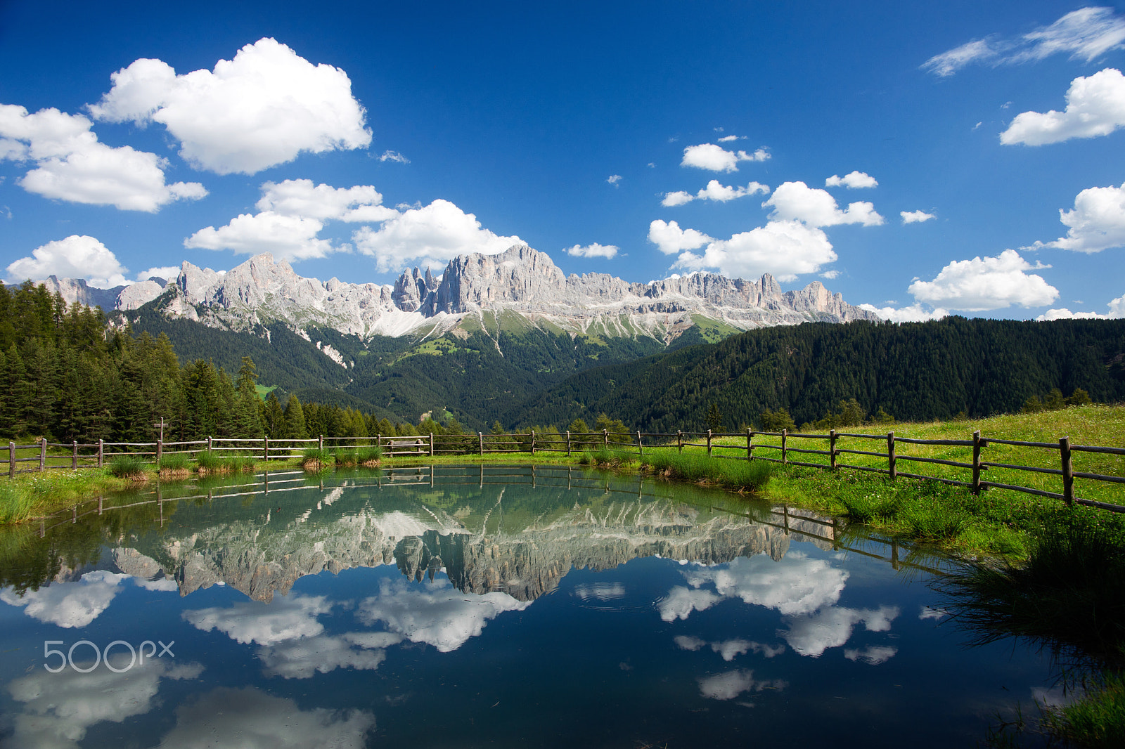 Sony Alpha DSLR-A850 sample photo. Rosengarten photography