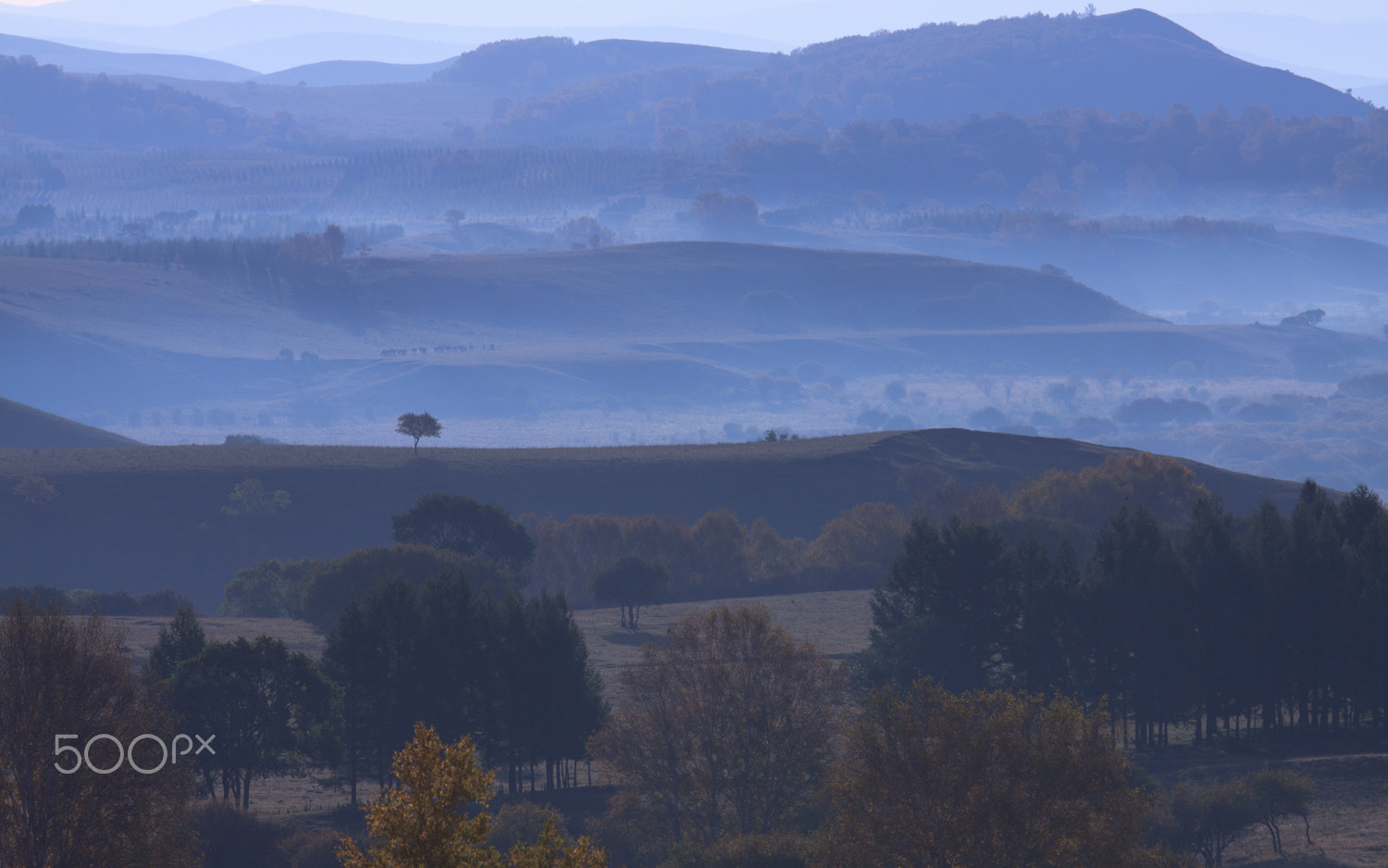 Canon EF 70-200mm F2.8L USM sample photo. Pasture in the morning photography