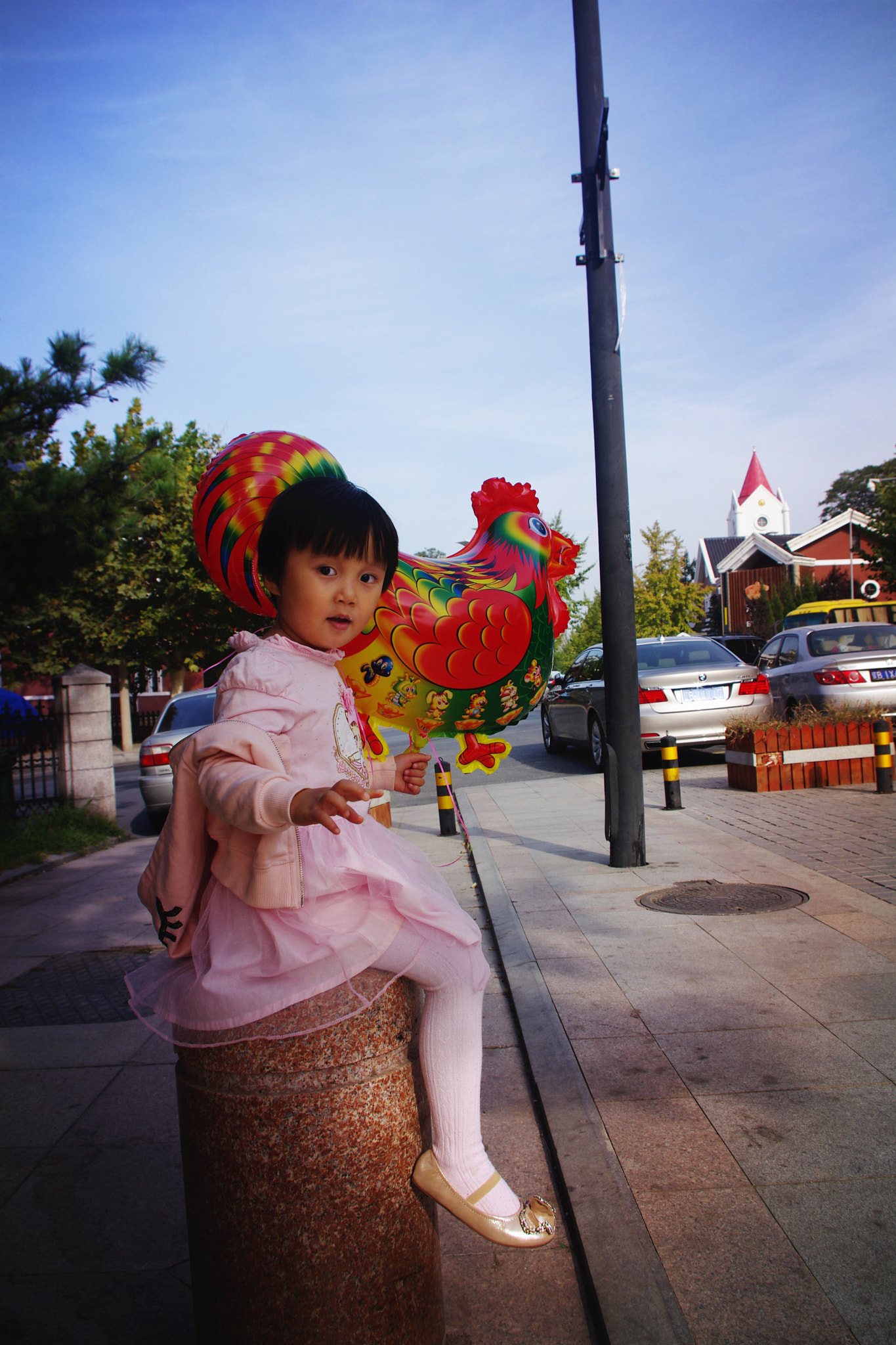 smc PENTAX-DA L 18-55mm F3.5-5.6 sample photo. Da lian   feng lin jie photography