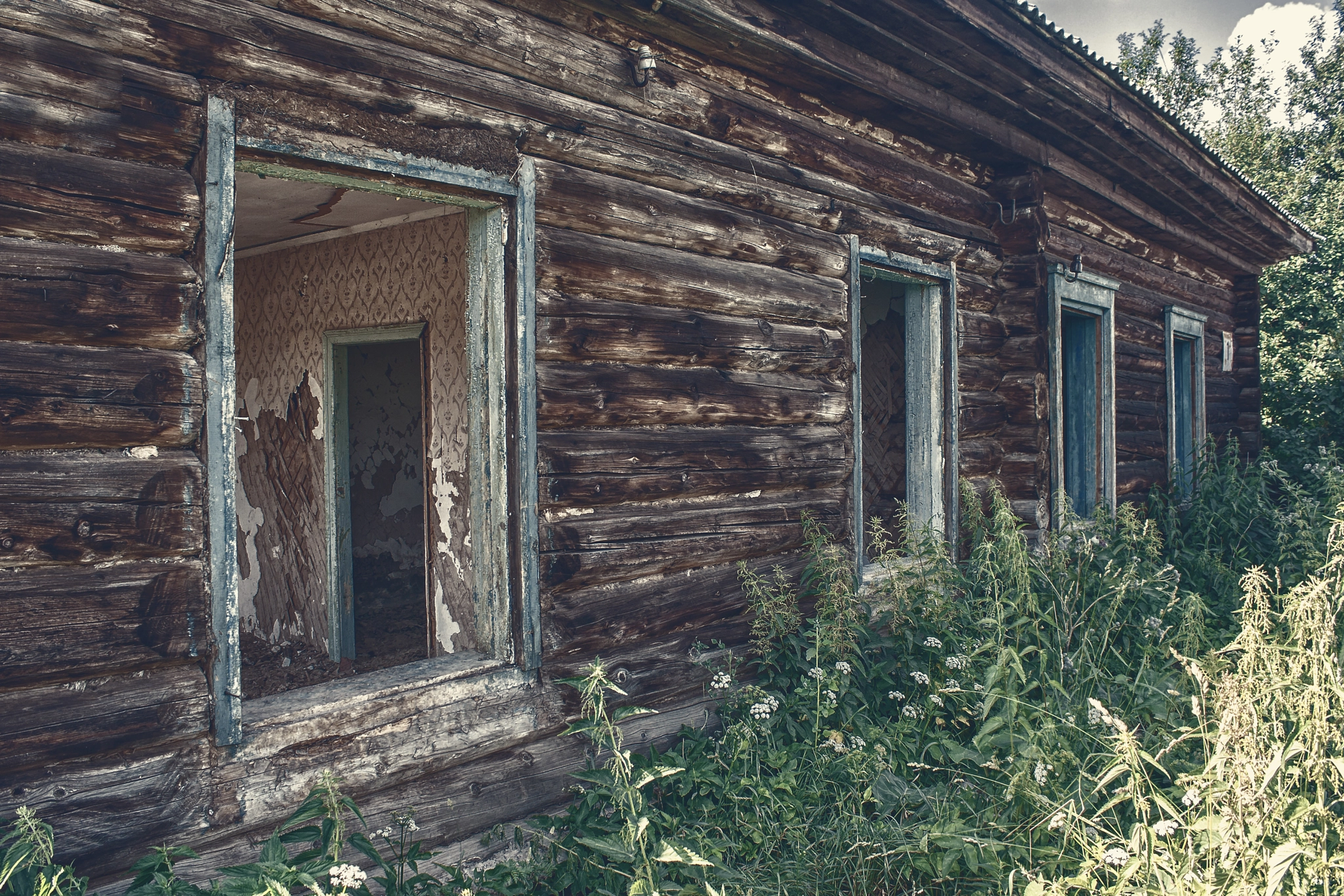 Canon EOS 400D (EOS Digital Rebel XTi / EOS Kiss Digital X) sample photo. Wall of old abandoned wooden house photography