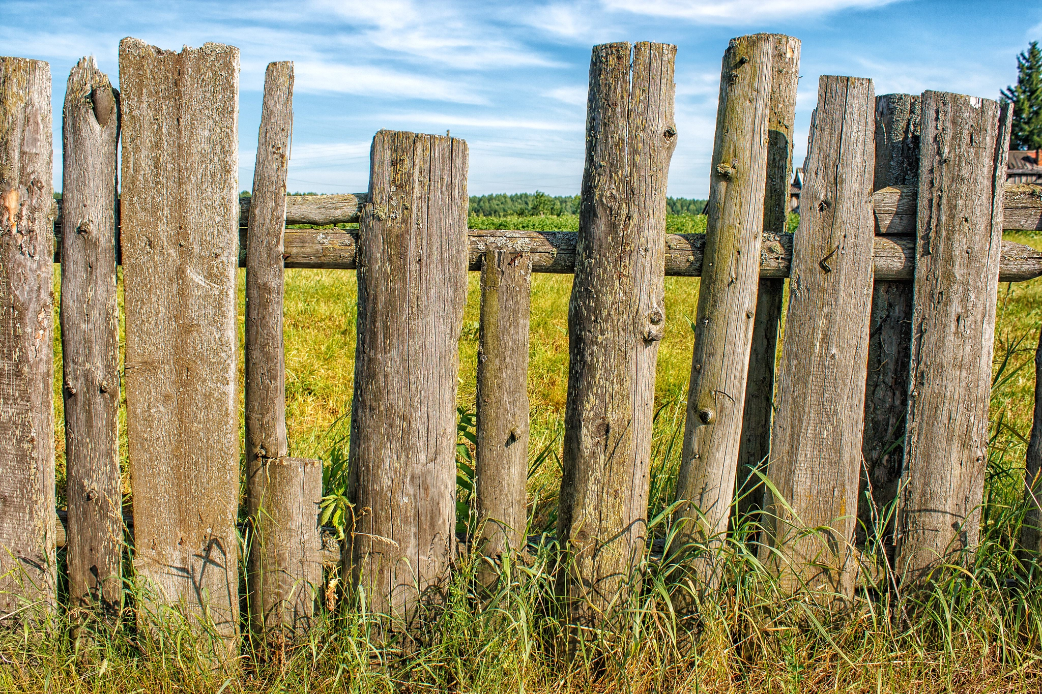 Canon EOS 400D (EOS Digital Rebel XTi / EOS Kiss Digital X) sample photo. Old wooden fence photography
