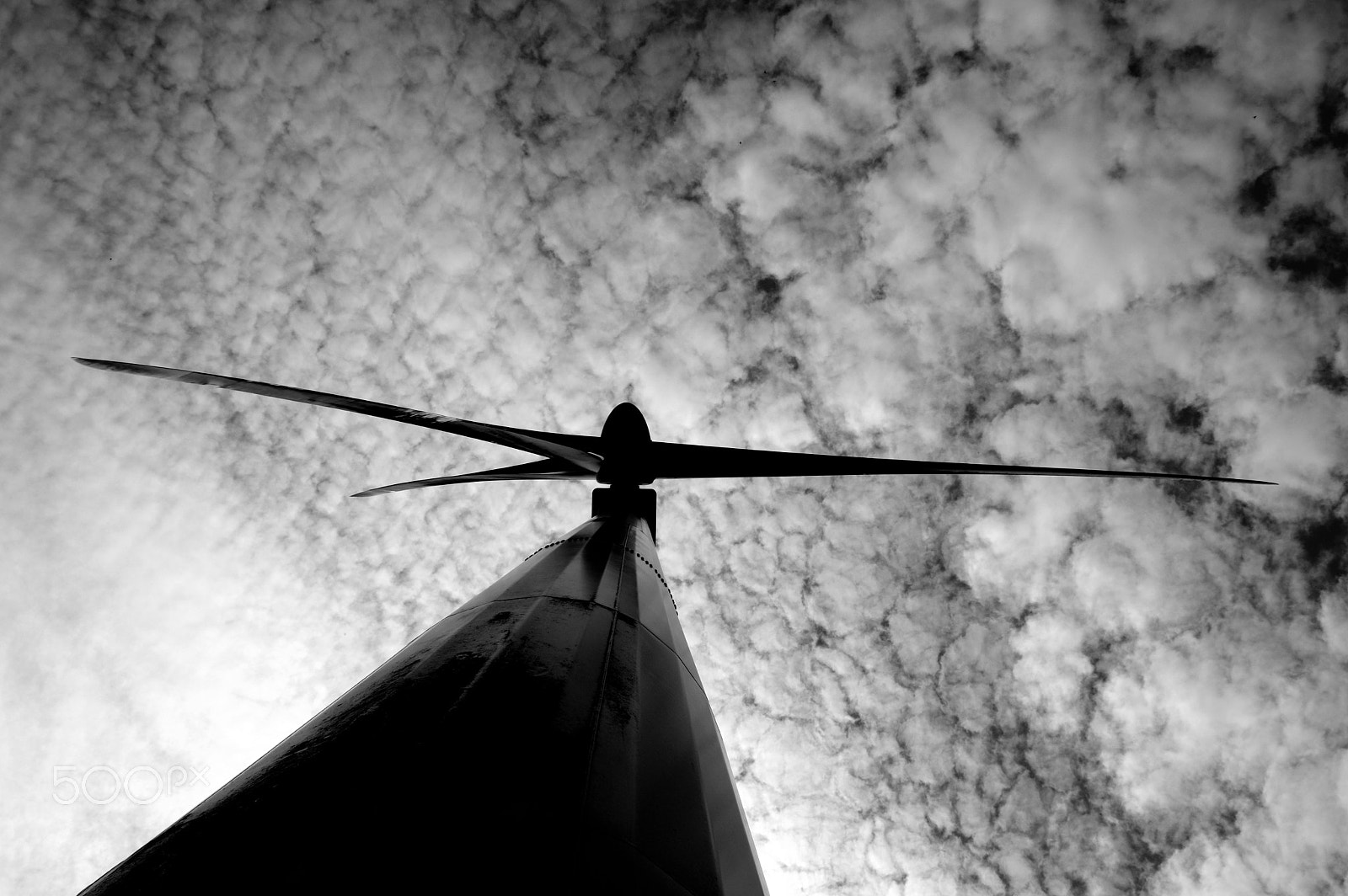 Sigma 18-200mm F3.5-6.3 DC sample photo. Fan photography