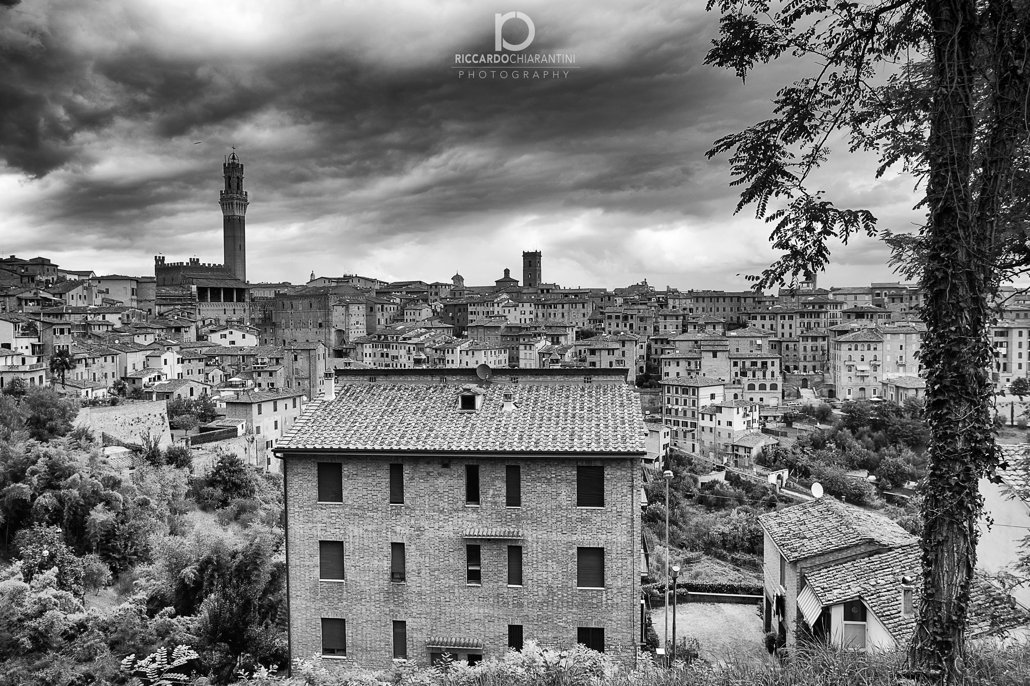 Canon EF 17-35mm f/2.8L sample photo. Siena city photography