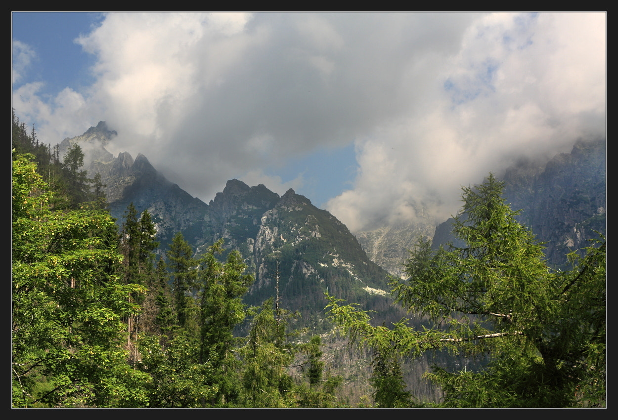 Canon EOS 450D (EOS Rebel XSi / EOS Kiss X2) sample photo. Tatra mountains i photography