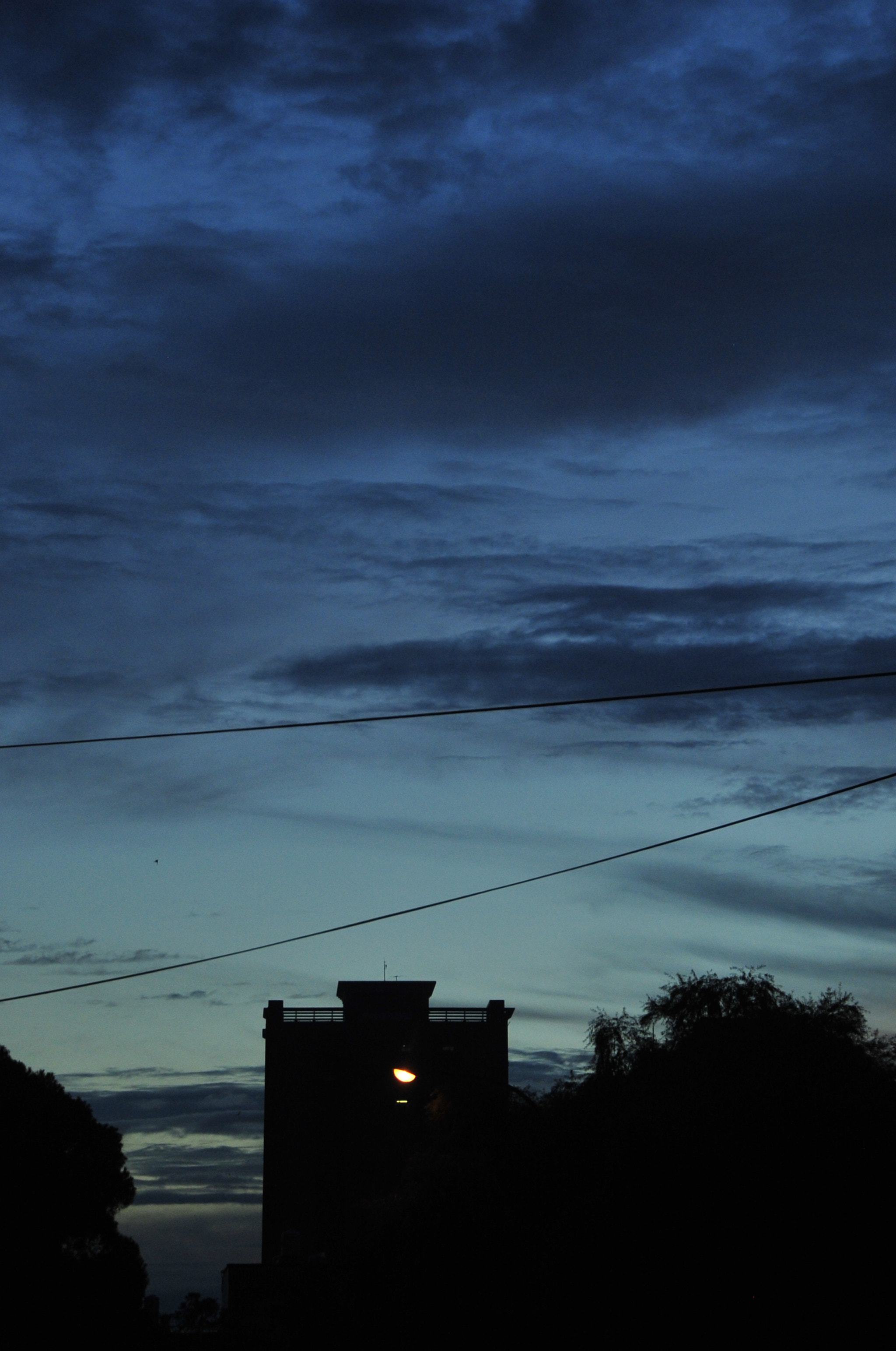 Nikon D3 sample photo. .. photography