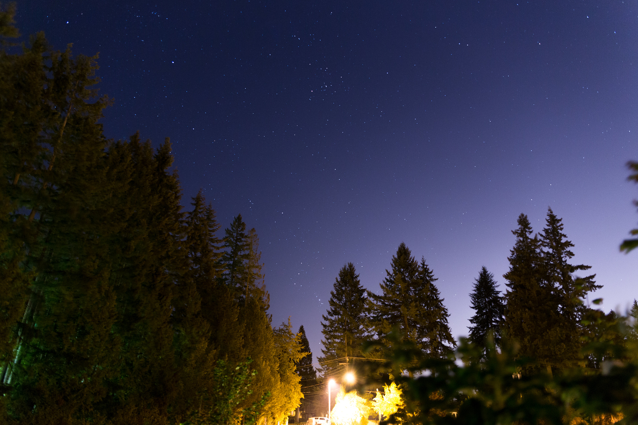 Canon EOS 6D sample photo. Trees tickling stars photography