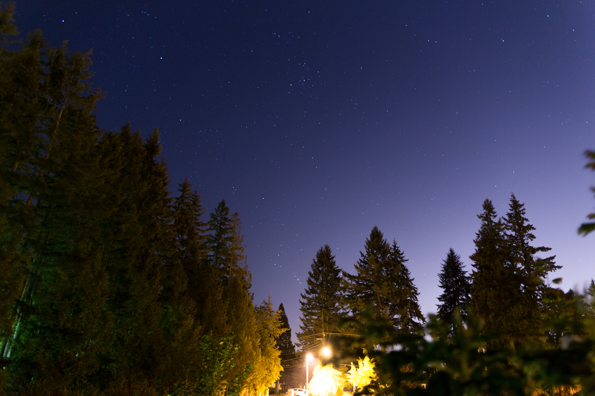 Canon EOS 6D + Canon EF 400mm f/2.8L sample photo. Trees tickling stars photography