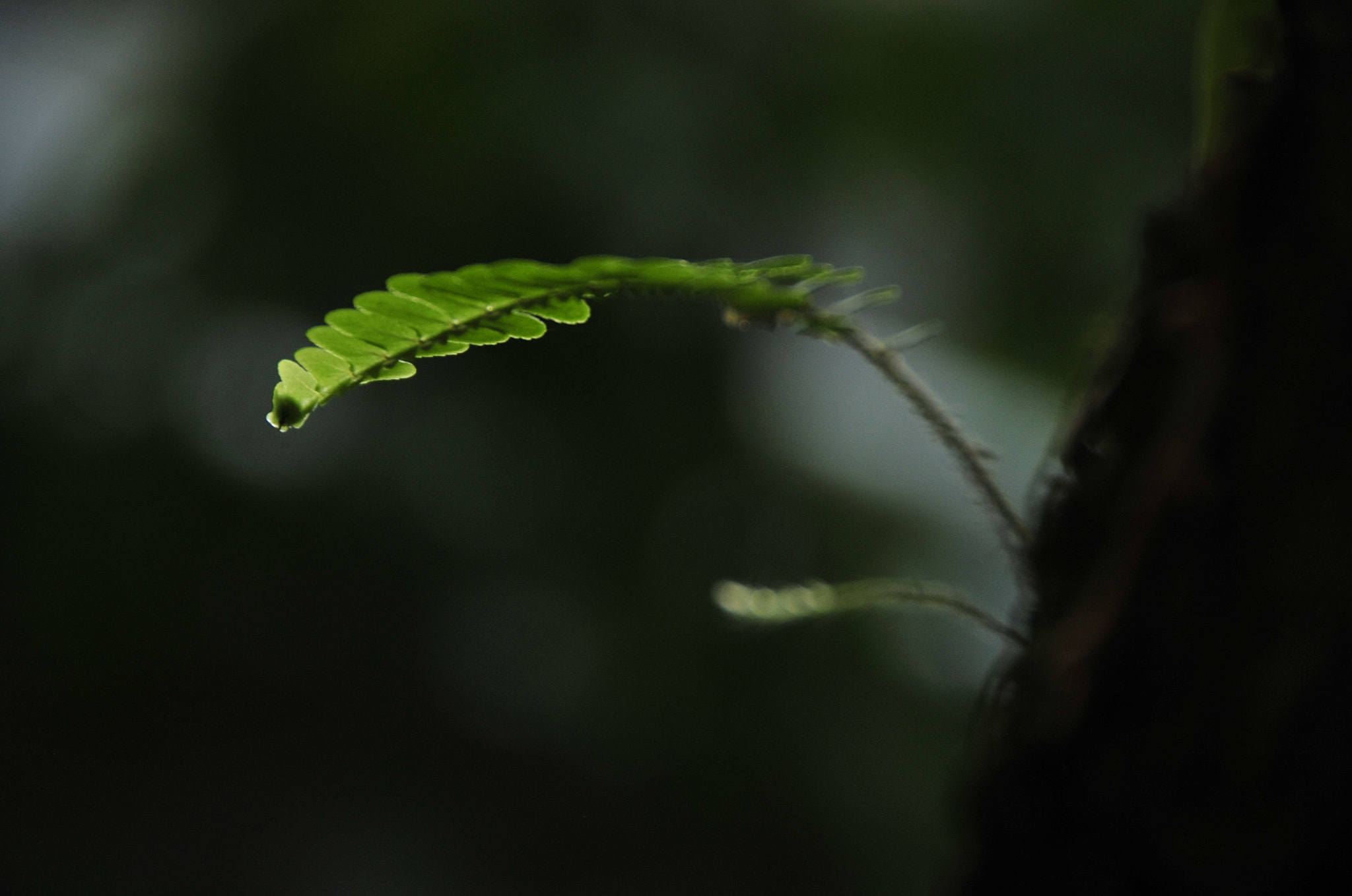 Nikon D3 sample photo. .. photography