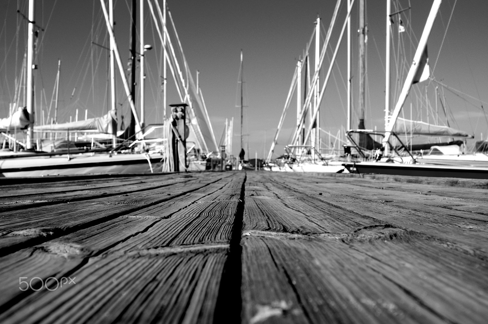 Sigma 18-200mm F3.5-6.3 DC sample photo. Surface photography