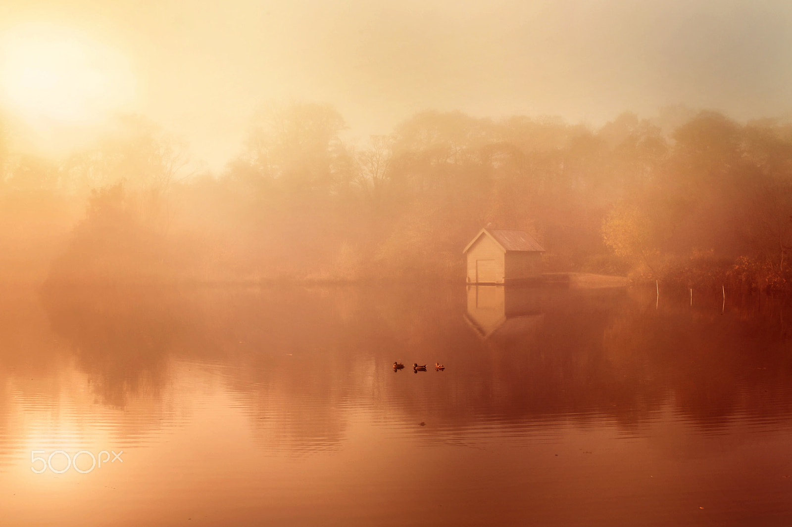 Sigma 24-70mm F2.8 EX DG HSM sample photo. Mist at dawn photography