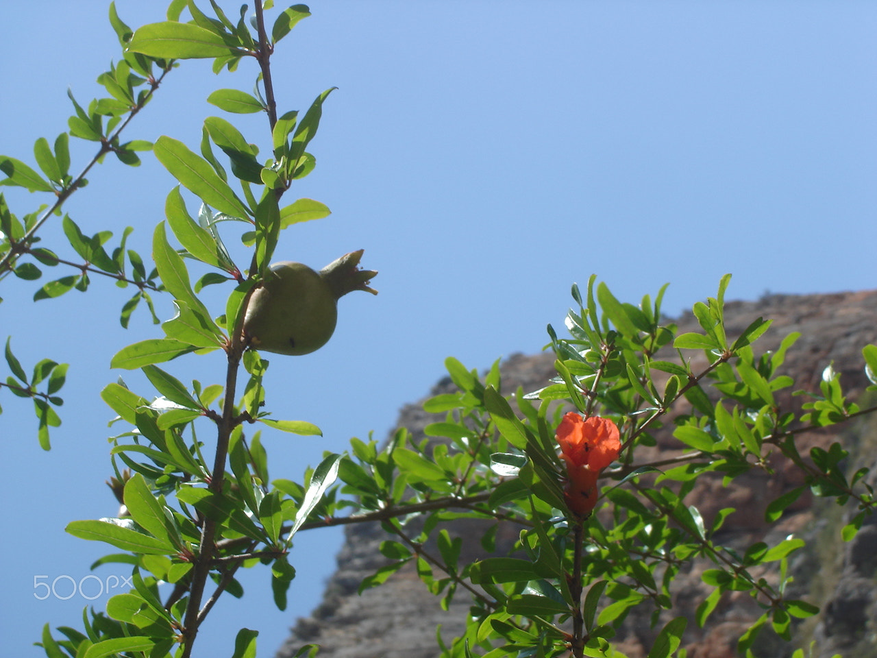 Sony DSC-W5 sample photo. Granada photography