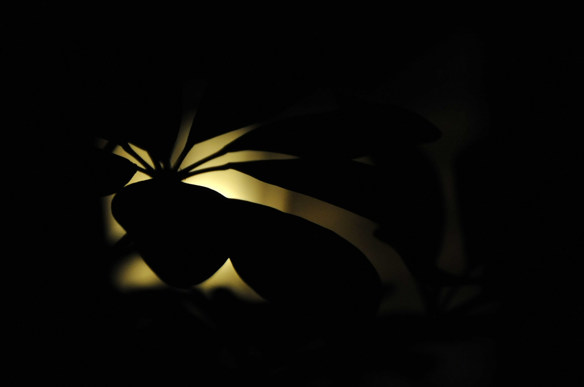 Nikon D3 sample photo. .. photography