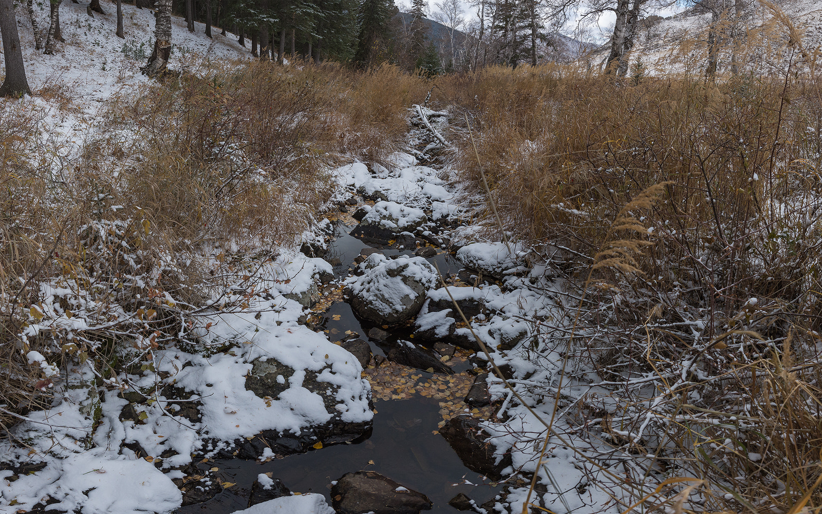 Nikon AF-S Nikkor 14-24mm F2.8G ED sample photo. Autumn snow photography