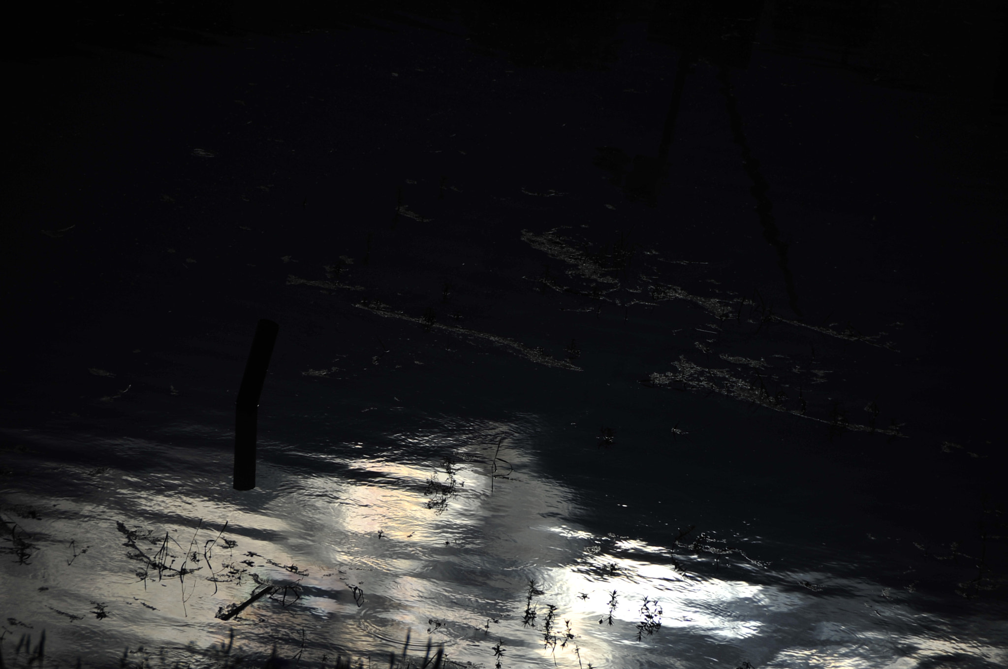 Nikon D3 sample photo. .. photography
