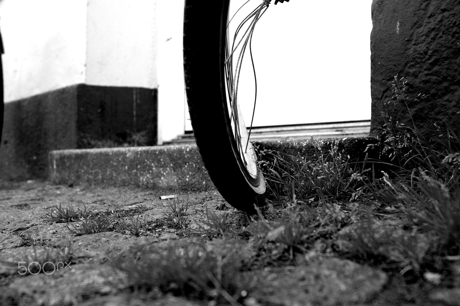 Pentax K-3 II sample photo. Wheel ... photography