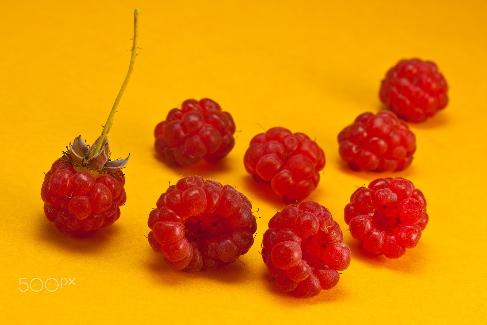 Canon EF-S 60mm F2.8 Macro USM sample photo. Himbeeren photography